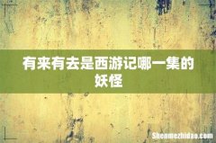 有来有去是西游记哪一集的妖怪