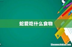 蛇爱吃什么食物