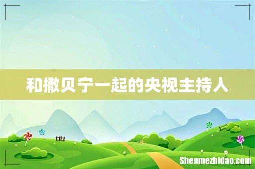 和撒贝宁一起的央视主持人