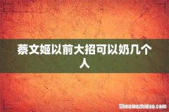 蔡文姬以前大招可以奶几个人