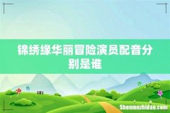 锦绣缘华丽冒险演员配音分别是谁