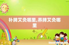 补脾艾灸哪里,养脾艾灸哪里