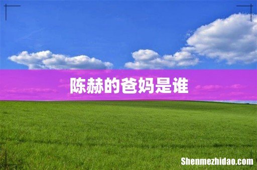 陈赫的爸妈是谁