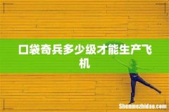 口袋奇兵多少级才能生产飞机