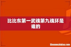 比比东第一武魂第九魂环是谁的