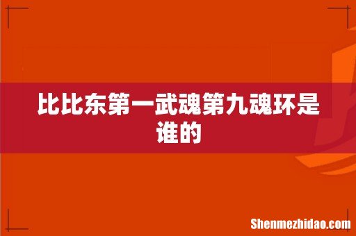 比比东第一武魂第九魂环是谁的