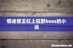 情迷兽王杠上狂野boss的小说