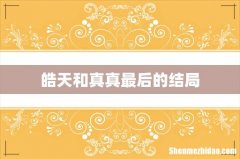 皓天和真真最后的结局