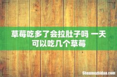 草莓吃多了会拉肚子吗 一天可以吃几个草莓