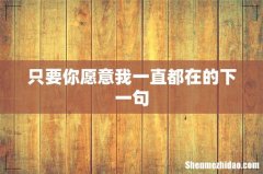 只要你愿意我一直都在的下一句