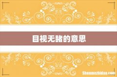 目视无睹的意思
