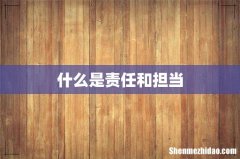 什么是责任和担当