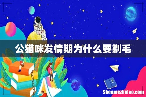 公猫咪发情期为什么要剃毛
