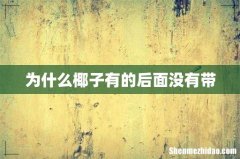 为什么椰子有的后面没有带