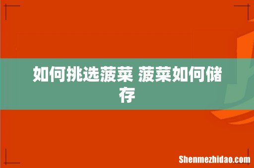 如何挑选菠菜 菠菜如何储存