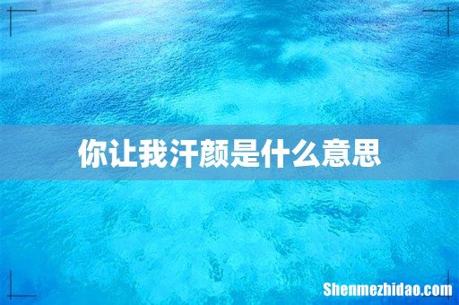 你让我汗颜是什么意思