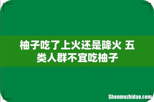 柚子吃了上火还是降火 五类人群不宜吃柚子