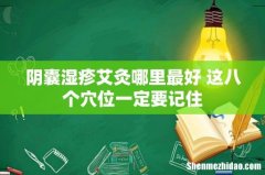 阴囊湿疹艾灸哪里最好 这八个穴位一定要记住