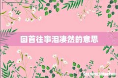 回首往事泪凄然的意思