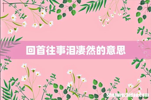 回首往事泪凄然的意思