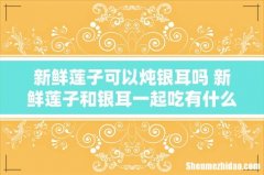 新鲜莲子可以炖银耳吗 新鲜莲子和银耳一起吃有什么好处？