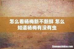 怎么看杨梅新不新鲜 怎么知道杨梅有没有虫