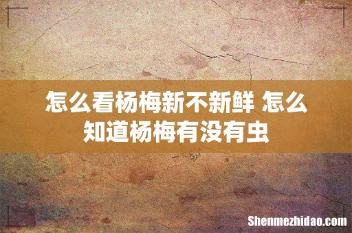 怎么看杨梅新不新鲜 怎么知道杨梅有没有虫