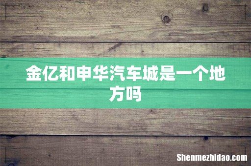 金亿和申华汽车城是一个地方吗
