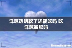 洋葱透明软了还能吃吗 吃洋葱减肥吗