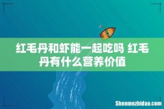 红毛丹和虾能一起吃吗 红毛丹有什么营养价值