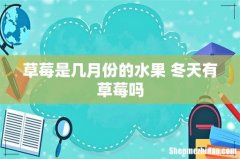 草莓是几月份的水果 冬天有草莓吗