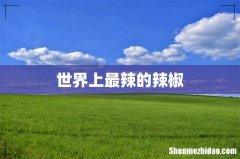世界上最辣的辣椒