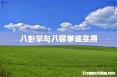 八卦掌与八极拳谁实用