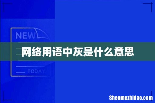网络用语中灰是什么意思