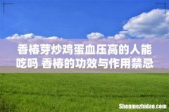 香椿芽炒鸡蛋血压高的人能吃吗 香椿的功效与作用禁忌