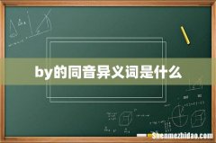 by的同音异义词是什么