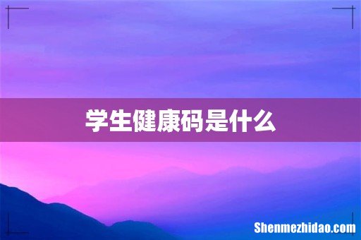 学生健康码是什么