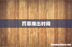 罚罪播出时间