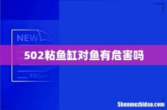 502粘鱼缸对鱼有危害吗