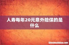 人寿每年20元意外险保的是什么