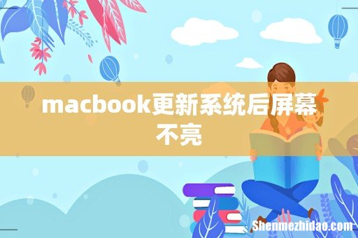 macbook更新系统后屏幕不亮