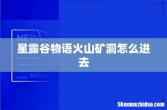星露谷物语火山矿洞怎么进去