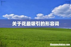 关于花最吸引的形容词
