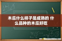 木瓜什么样子是成熟的 什么品种的木瓜好吃