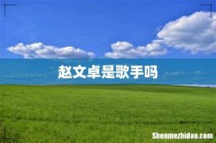 赵文卓是歌手吗