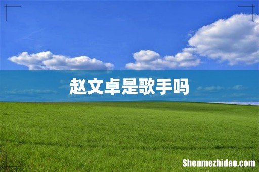赵文卓是歌手吗