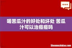 喝苦瓜汁的好处和坏处 苦瓜汁可以治痘痘吗