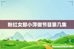 粉红女郎小萍做节目第几集