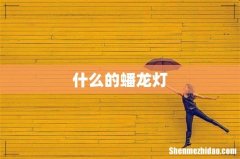 什么的蟠龙灯