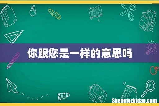 你跟您是一样的意思吗